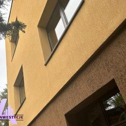 Czyszczenie elewacji