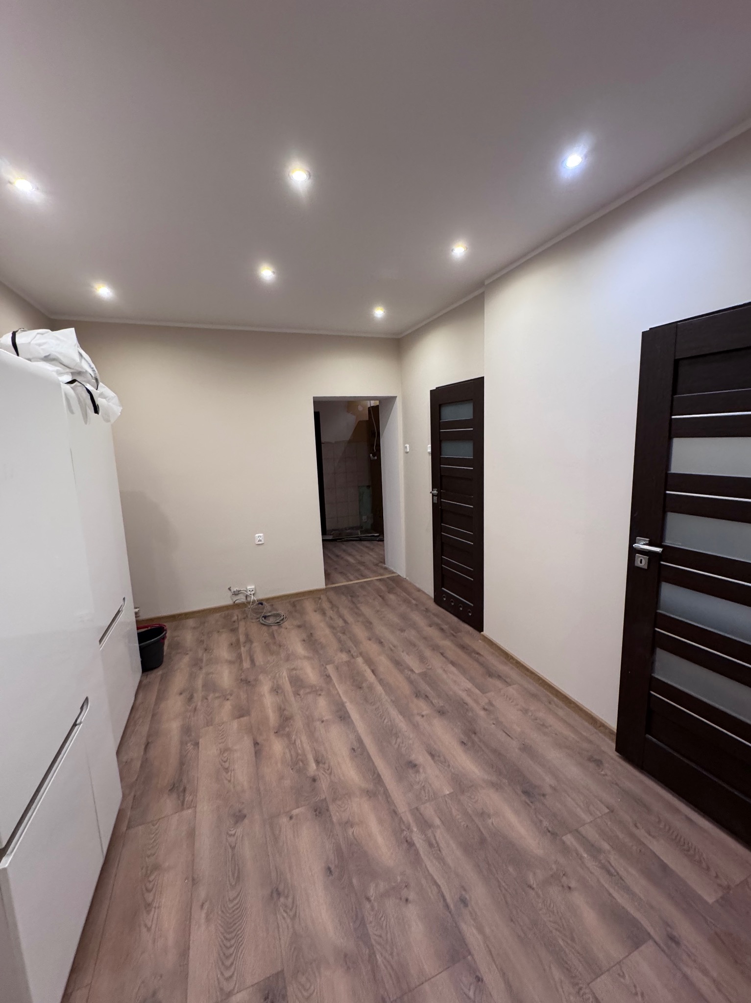 Jasne wnętrze z panelami podłogowymi w odcieniach brązu, widoczne drzwi wewnętrzne z przeszkleniami i biała szafa. Oświetlenie sufitowe punktowe.