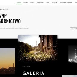 Tworzenie stron internetowych Bełsznica 3