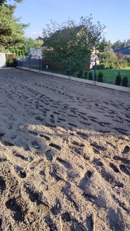 Przygotowany teren pod trawnik z widocznymi śladami stóp, ogrodzeniem i młodymi tujami w tle. Słoneczny dzień, widok z perspektywy ziemi.