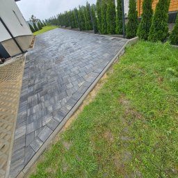 Mateusz Buschan - Ułożona, szara kostka brukowa prowadząca wzdłuż ogrodzenia z tujami, obrzeża betonowe, trawnik po prawej stronie, widok z perspektywy.