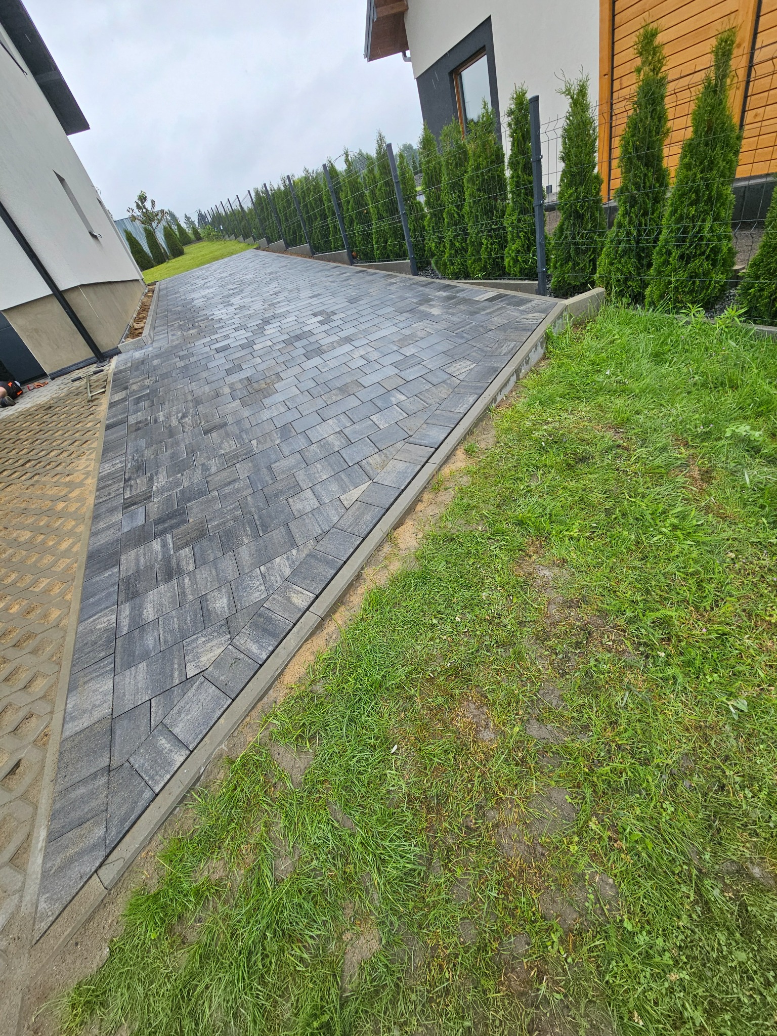 Ułożona, szara kostka brukowa prowadząca wzdłuż ogrodzenia z tujami, obrzeża betonowe, trawnik po prawej stronie, widok z perspektywy.