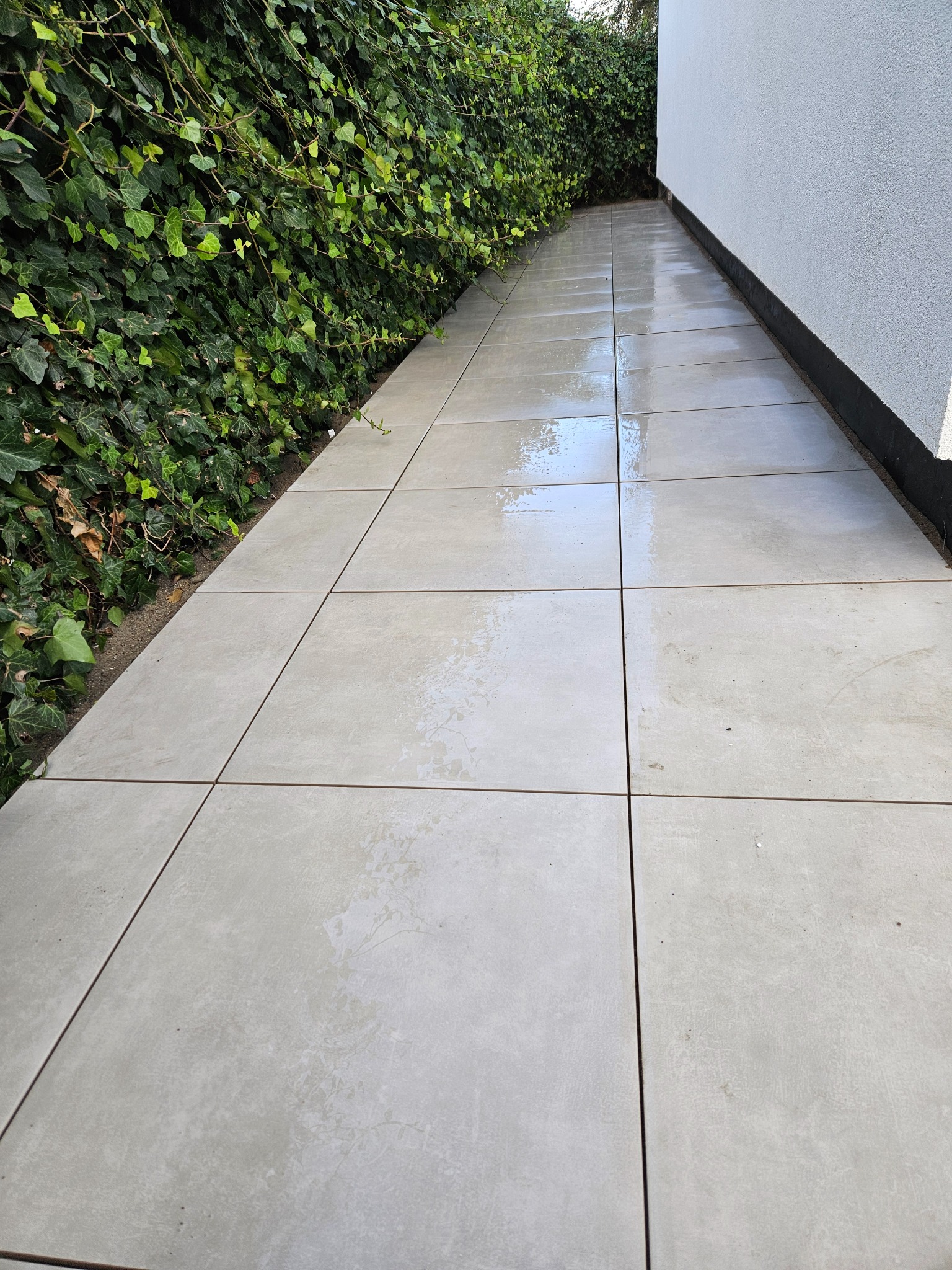 Ścieżka z jasnych, kwadratowych płyt ułożona wzdłuż ściany budynku i zielonego żywopłotu. Płyty lekko wilgotne, odbijają światło. Minimalistyczny design.