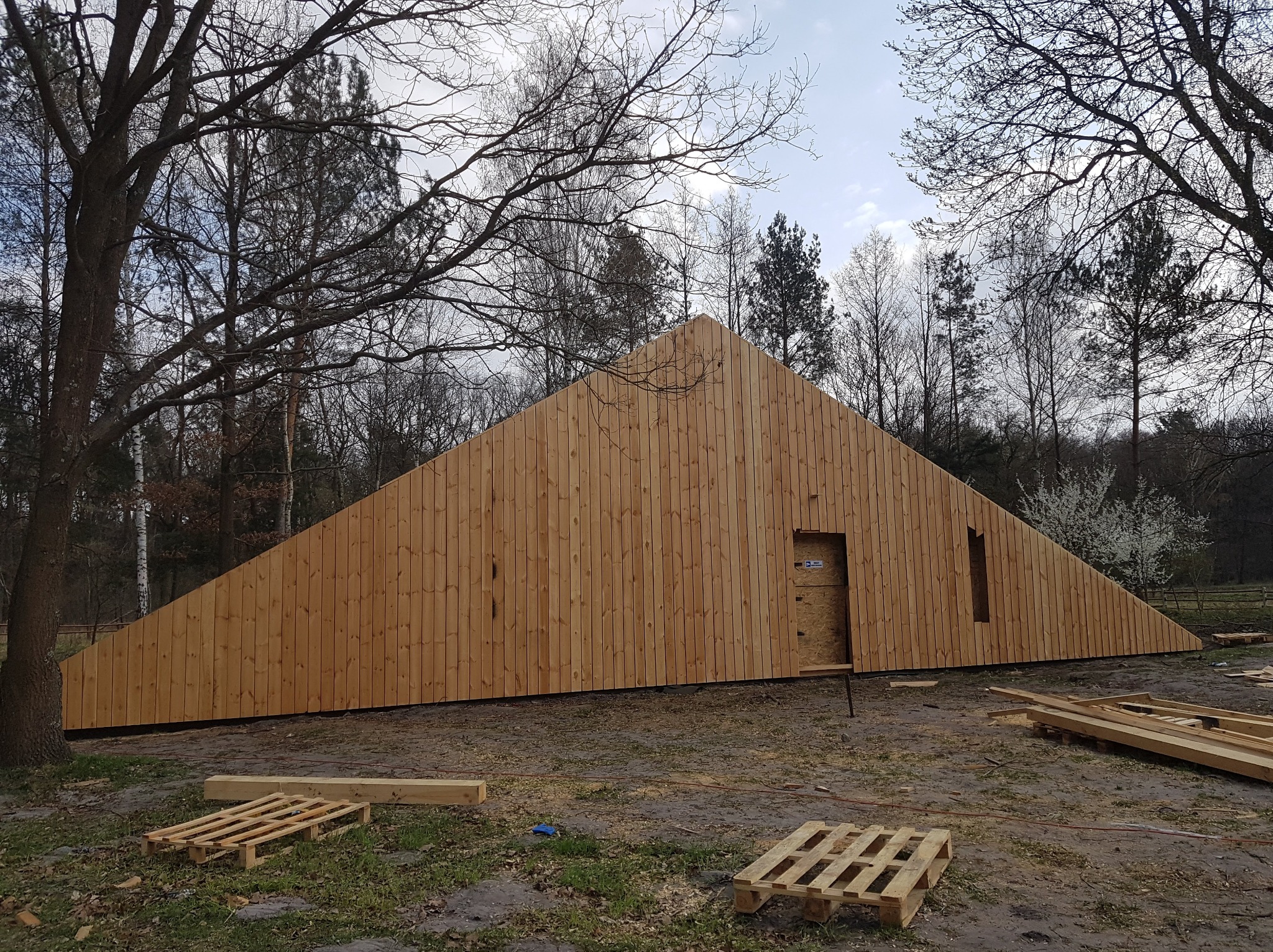 Surowy, drewniany dom w kształcie trójkąta w lesie, z widocznymi paletami i elementami konstrukcyjnymi. Budowa w toku, widoczne drzewa w tle.