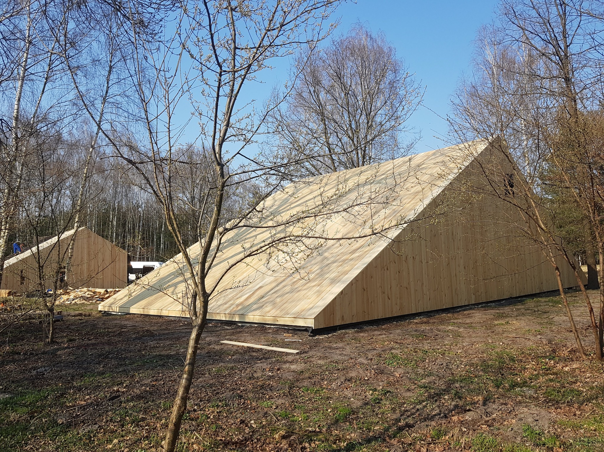 Wznoszenie drewnianej konstrukcji domu o nietypowym, trójkątnym kształcie dachu, w otoczeniu drzew i błękitnego nieba. Widoczny etap budowy.