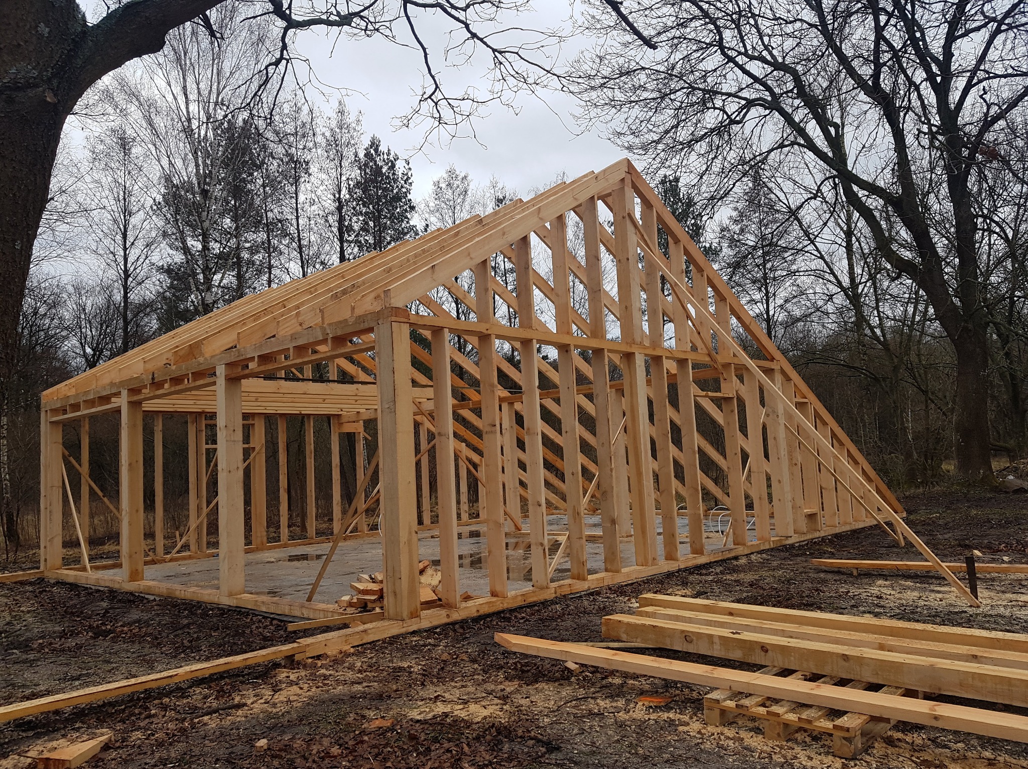 Konstrukcja szkieletowa domu w trakcie budowy, widok z zewnątrz. Drewniane elementy tworzą zarys budynku na tle drzew i pochmurnego nieba. Widoczne ślady prac budowlanych.