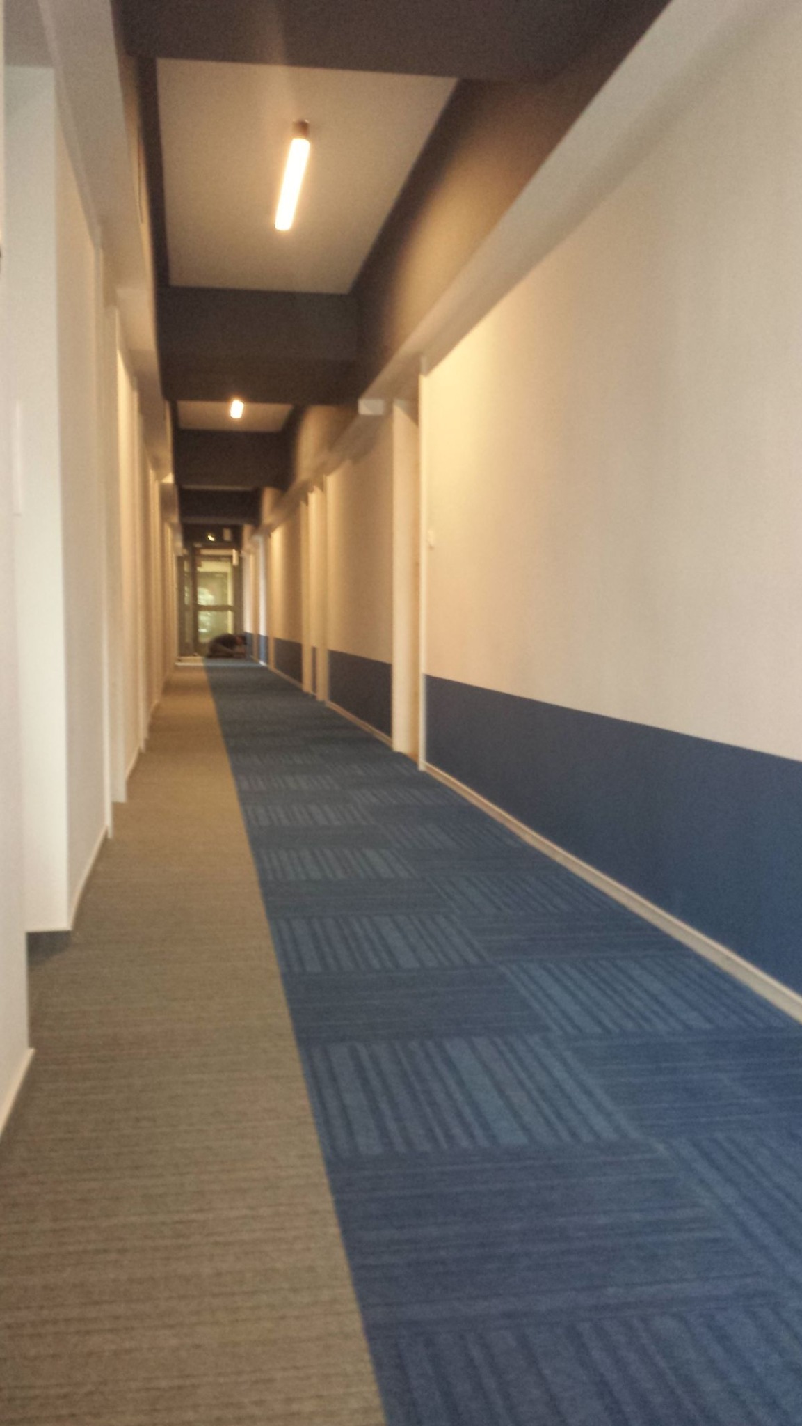 Długi korytarz biurowy z dwukolorową wykładziną (szara i niebieska), oświetlony lampami sufitowymi. Ściany białe z ciemnoniebieskim pasem na dole. Perspektywa zbieżna.
