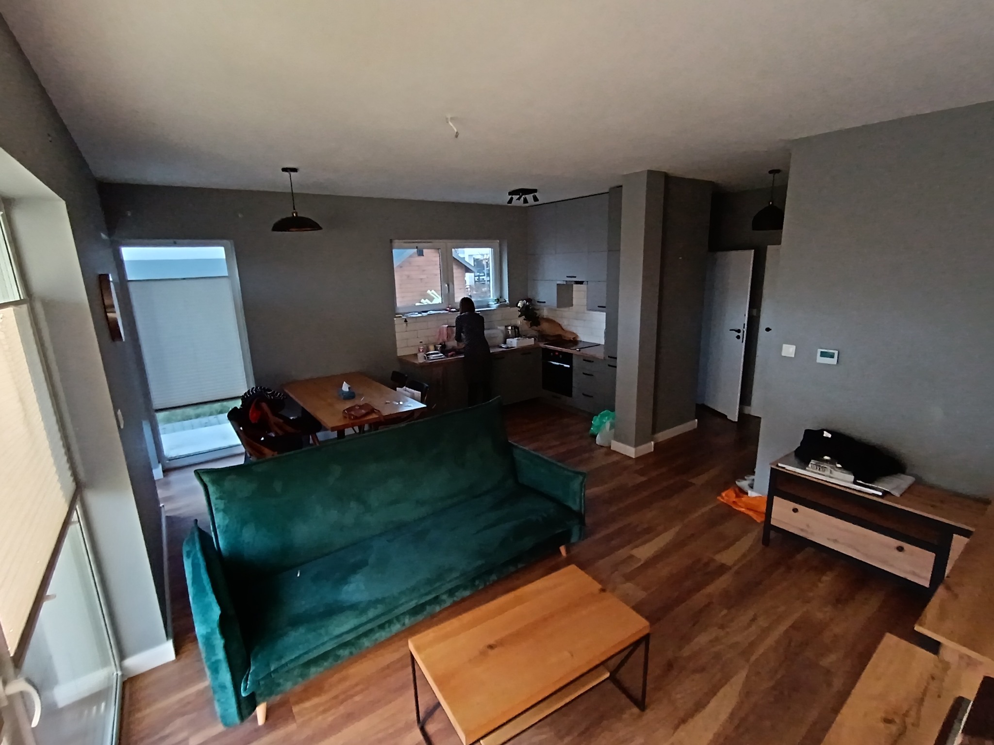 Przestronne wnętrze mieszkania z drewnianą podłogą, zieloną sofą i widoczną kuchnią w tle. Minimalistyczne lampy sufitowe i szare ściany nadają nowoczesny charakter.