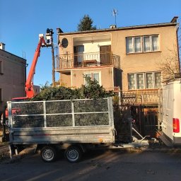 Wycinka drzew Krotoszyce 4