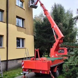 Wycinka drzew Krotoszyce 2