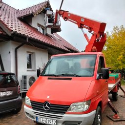 Wycinka drzew Krotoszyce 3