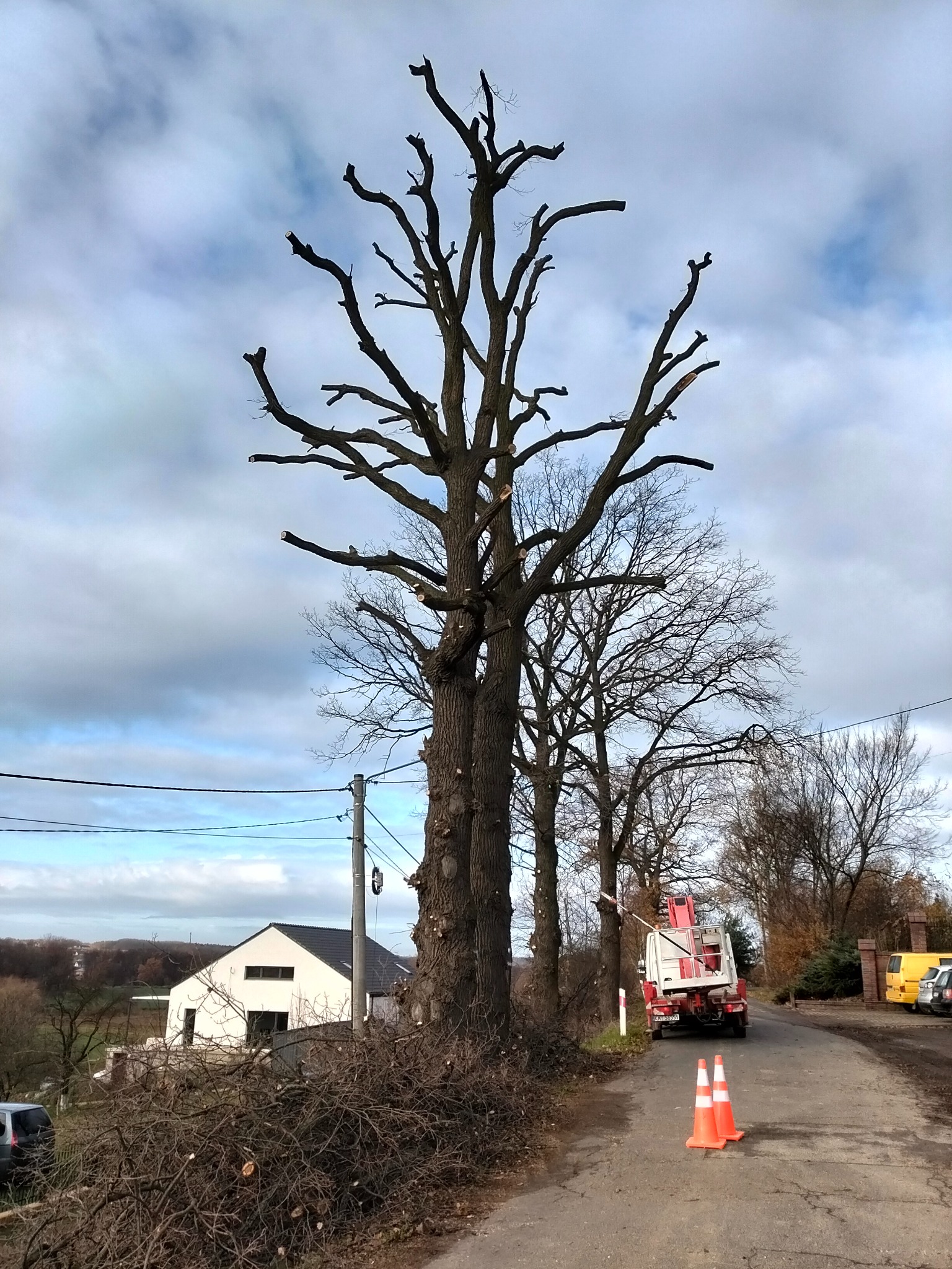 Przycięte drzewo z podnośnikiem koszowym w tle, obok leżą gałęzie. Widoczny biały dom i pochmurne niebo. Dwa pomarańczowe pachołki na drodze.