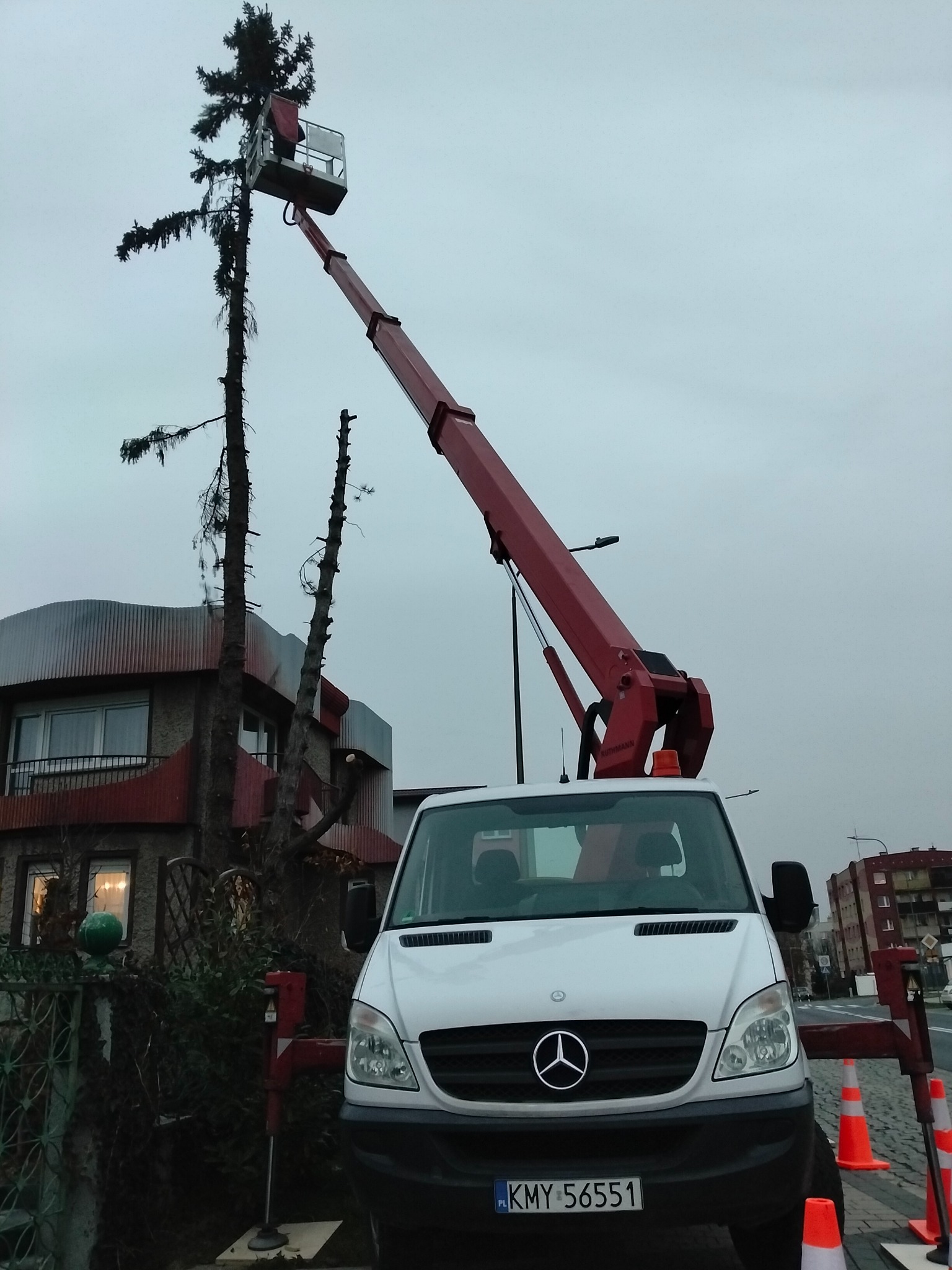 Cięcie drzewa z podnośnika koszowego na tle budynku. Widoczny biały samochód Mercedes z wysięgnikiem i koszem. Częściowo ogołocone drzewo i pomarańczowe pachołki.