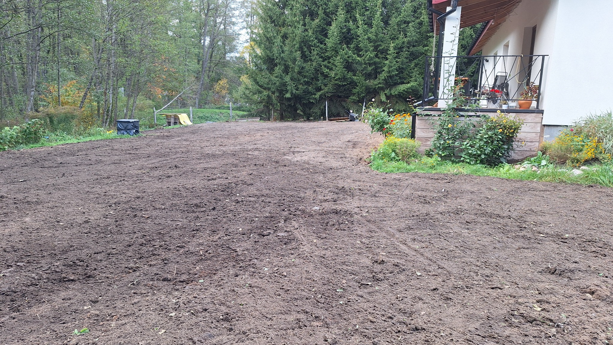 Przygotowany teren pod trawnik z widocznym domem i zielenią w tle. Świeżo przekopana ziemia, gotowa do siewu lub rozłożenia trawy z rolki. Widok z poziomu gruntu.