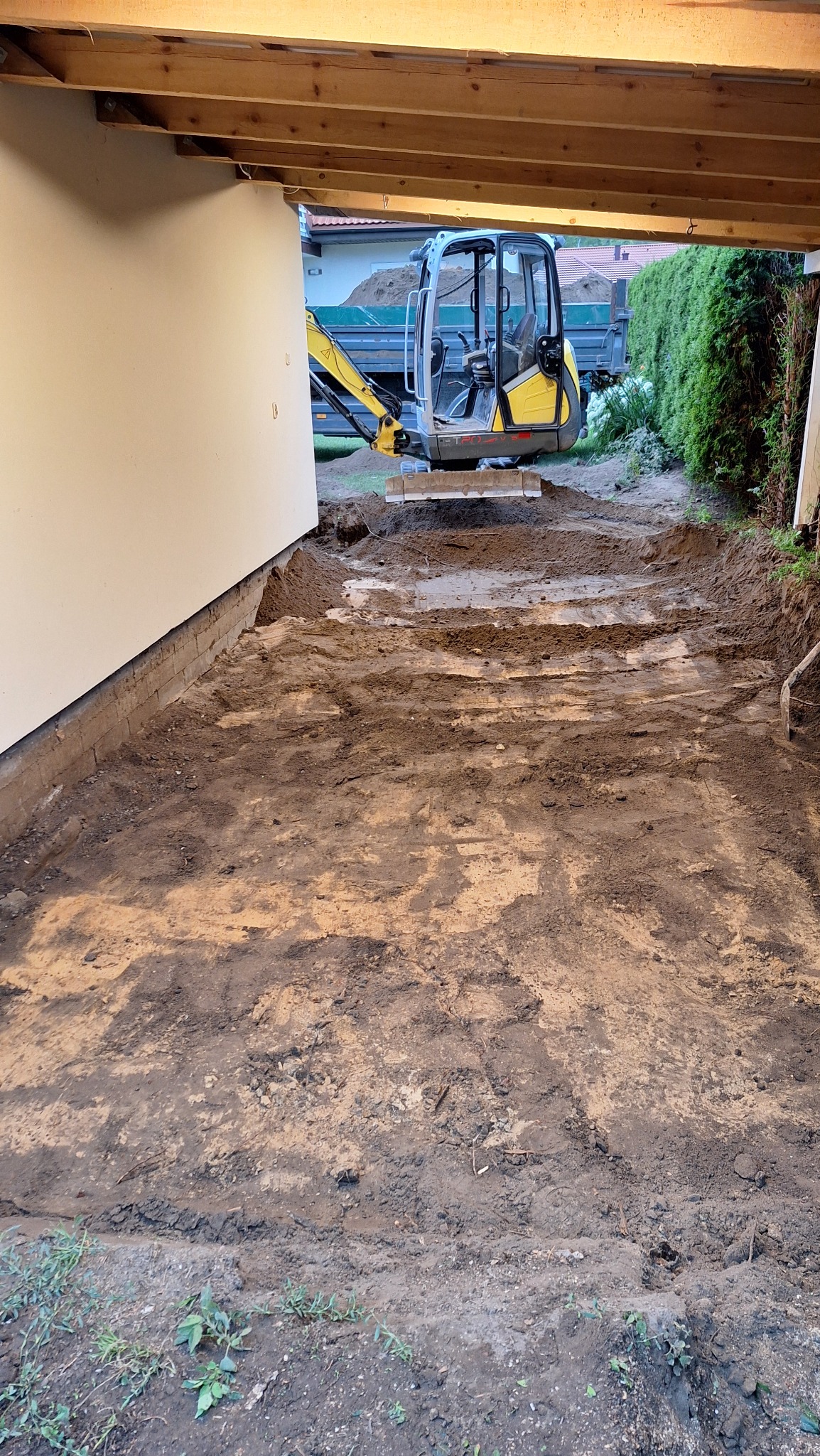 Żółta mini koparka na wyrównanym terenie pod zadaszeniem, w tle wywrotka z ziemią i zielony żywopłot. Przygotowanie terenu pod budowę.