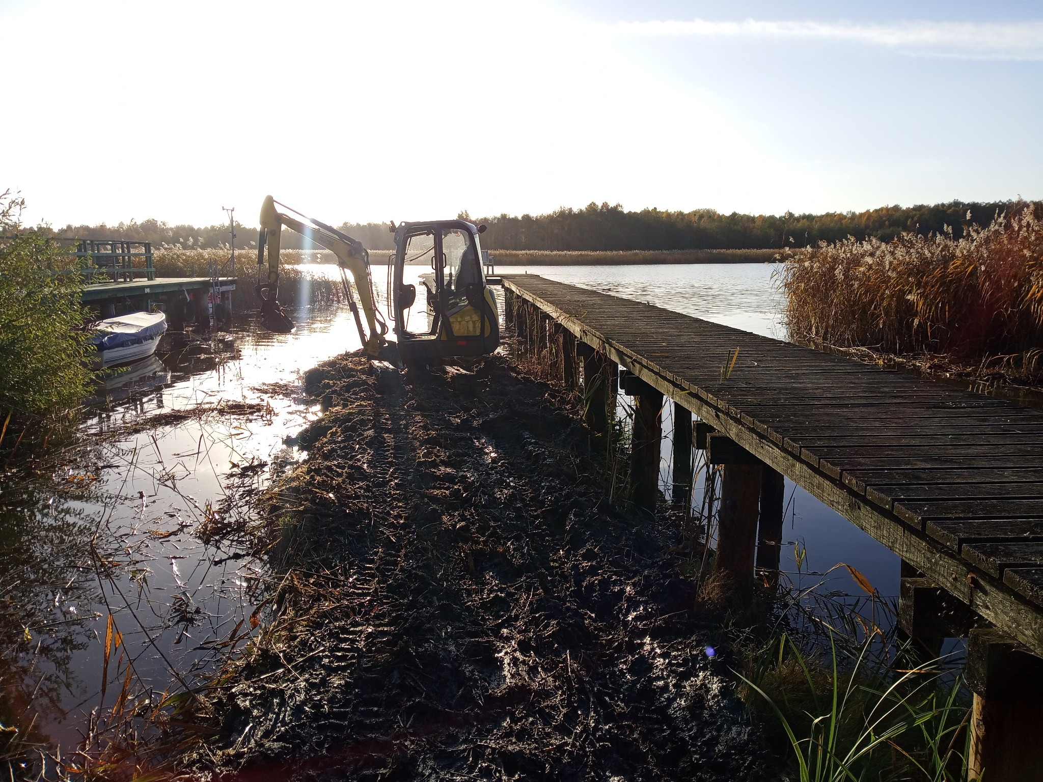 Żółta koparka na brzegu jeziora, obok drewnianego pomostu. Ślady opon w błocie, w tle trzciny i las. Słoneczny dzień.
