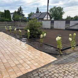 FANCY - GARDEN Mateusz Kotas - Projektowanie ogrod&oacute;w Kłobuck