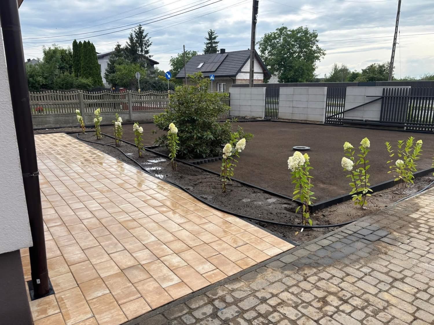 Świeżo ułożona, beżowa kostka brukowa prowadzi do rabaty z hortensjami i przygotowanego pod trawnik terenu, ogrodzonego betonowym płotem. Widok na dom z ciemnym dachem.