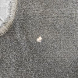 Szwagier Cleaner - Szary dywan z plamą. Widoczna struktura materiału i zabrudzenie. Fragment dywanu z obrzeżem. Powiększenie na zanieczyszczenie.