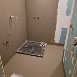 Płyta karton gips Plewiska 4