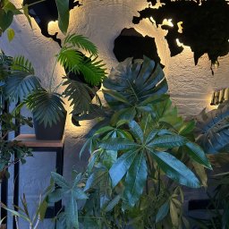 Kupno mieszkania Yeni İskele 2