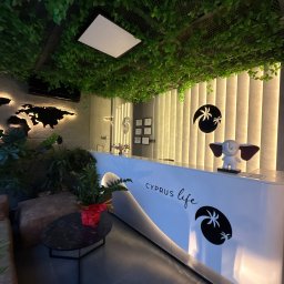 Kupno mieszkania Yeni İskele 3