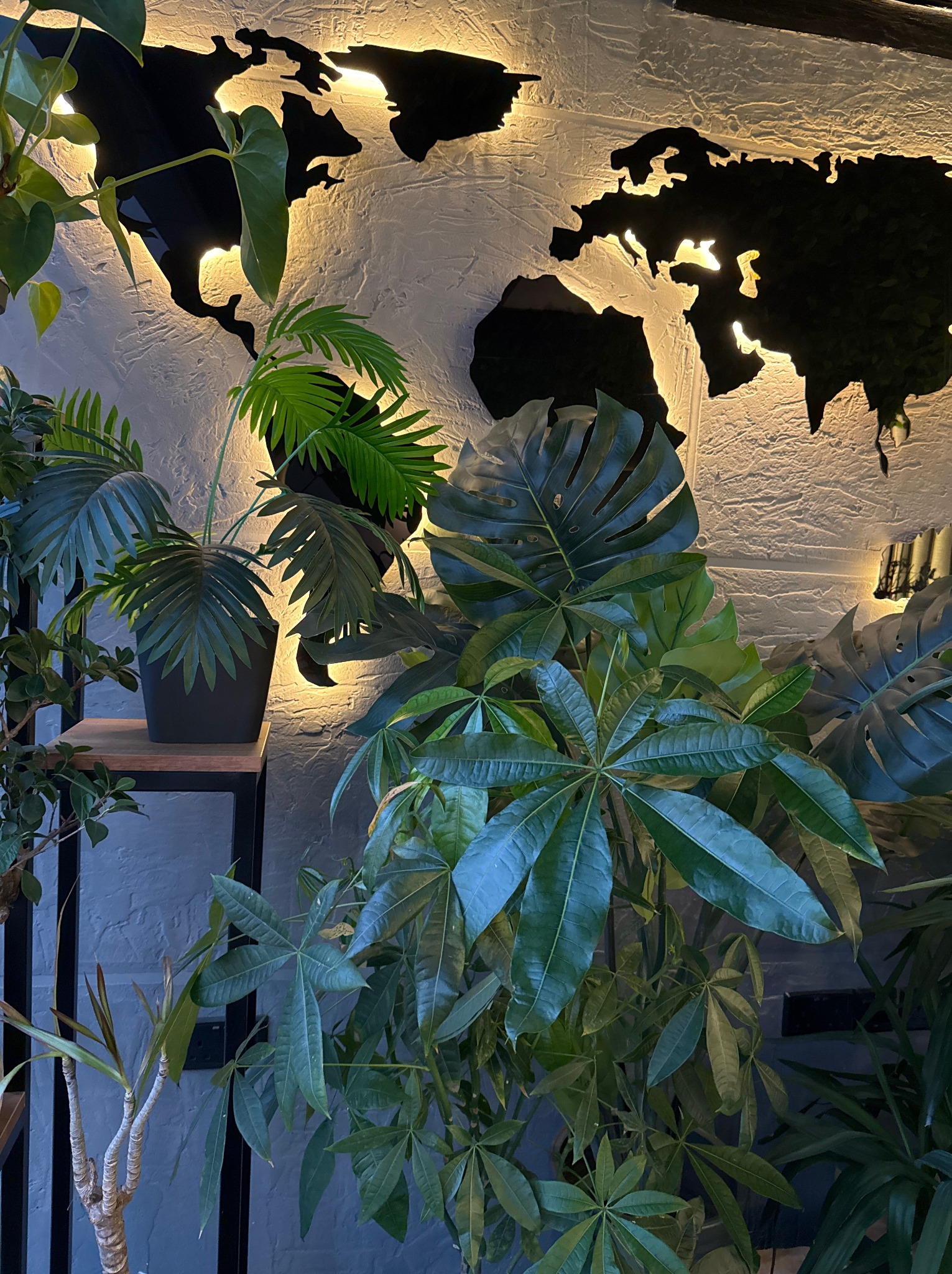 Ściana z mapą świata podświetloną od tyłu, otoczona zielonymi roślinami doniczkowymi. Dekoracja wnętrza z motywem podróży i elementami botanicznymi.