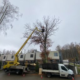 Wycinka drzew Barczewo 4