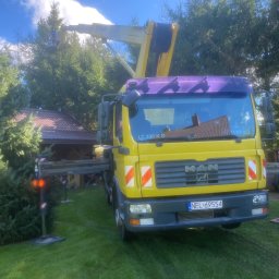 Wycinka drzew Barczewo 1