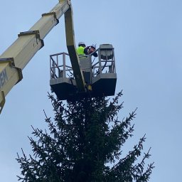 Wycinka drzew Barczewo 2