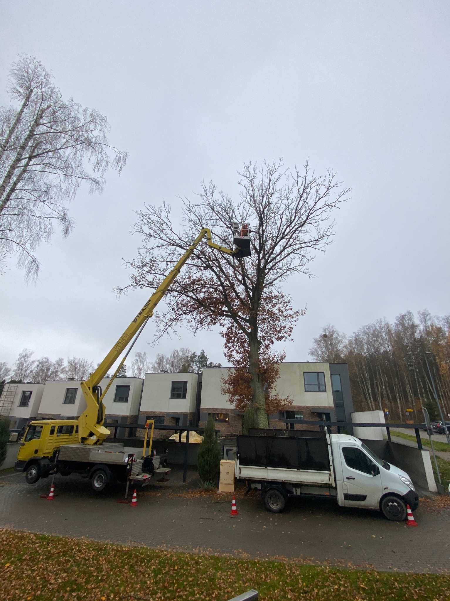 Żółty podnośnik koszowy przy drzewie bez liści, pracownik w koszu na tle nowoczesnych domów. Jesienne otoczenie, przygotowania do sezonu zimowego.