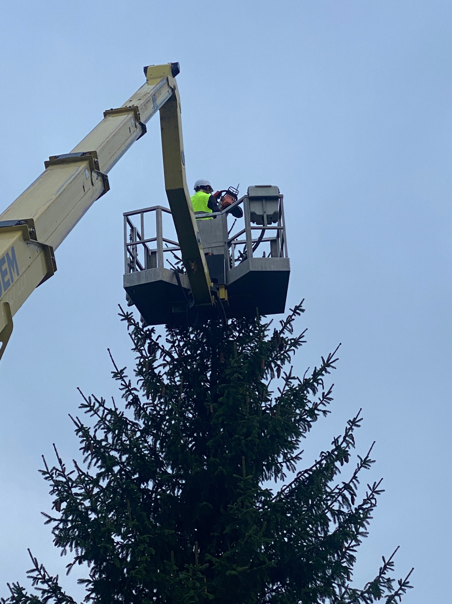 Pracownik w podnośniku koszowym, w kasku i kamizelce, przycina koronę wysokiej, gęstej choinki piłą spalinową na tle pochmurnego nieba.