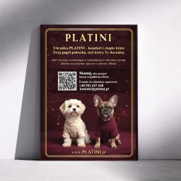 Grafik komputerowy Łódź 1