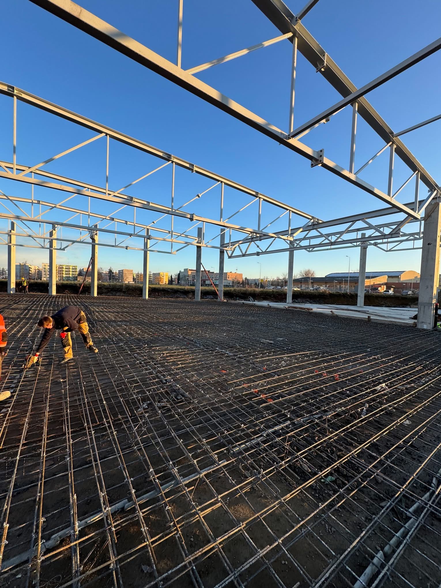 Zbrojenie płyty fundamentowej hali przemysłowej w trakcie montażu. Widoczna siatka zbrojeniowa, stalowe słupy konstrukcyjne i pracownik przy pracy.