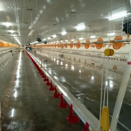 Mycie elewacji Odolanów 4