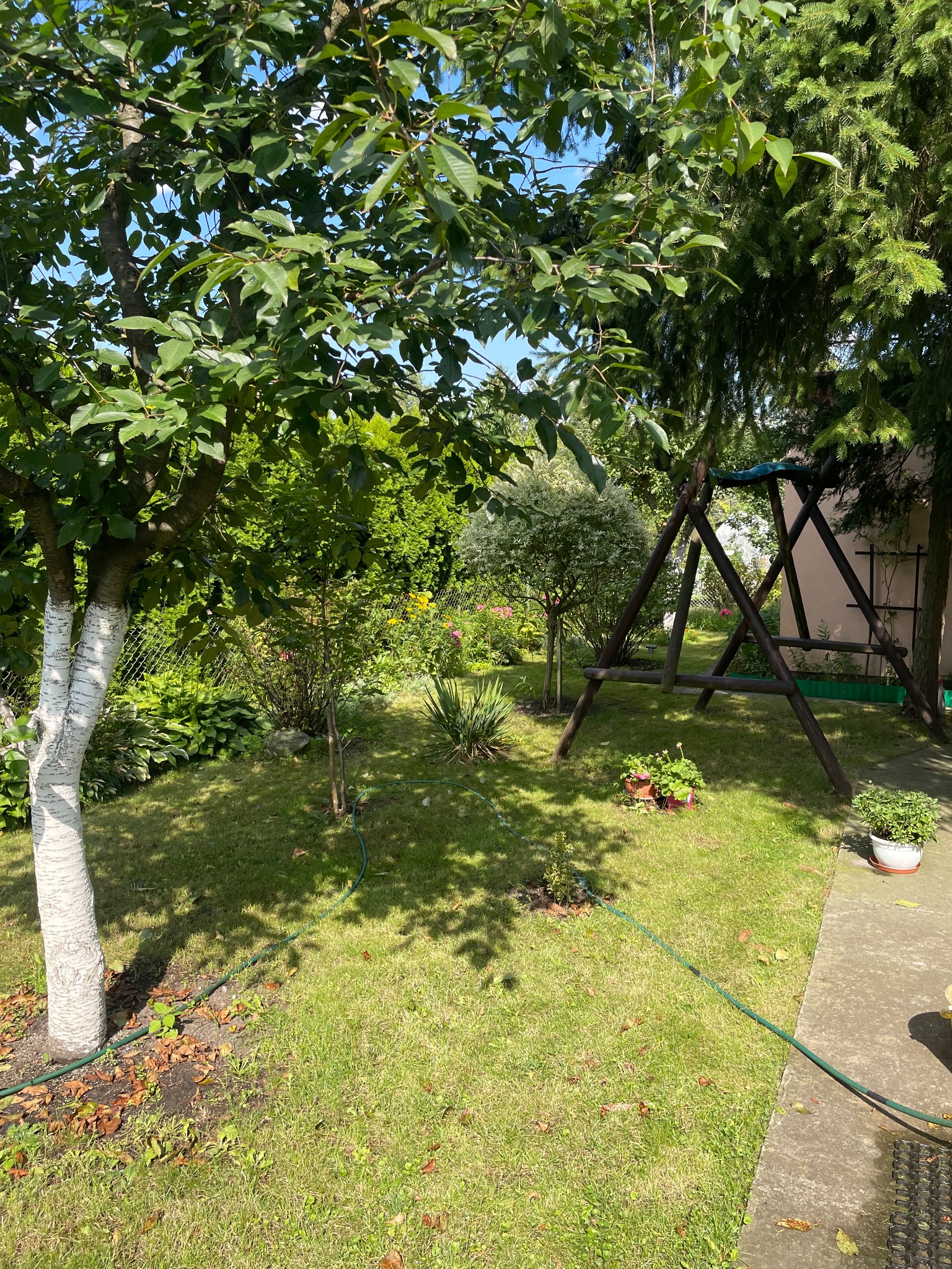 Zadbany ogród z zielonym trawnikiem, drzewami i huśtawką. Widoczne kwiaty w donicach i biała kora drzewa. Słoneczny dzień, spokojna atmosfera.