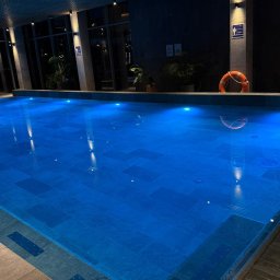 Stanislav Vyshomirskyi - Nowoczesny basen kryty z błękitną wodą, oświetleniem punktowym i roślinami w tle. Pomarańczowe koło ratunkowe na ścianie. Minimalistyczny design.