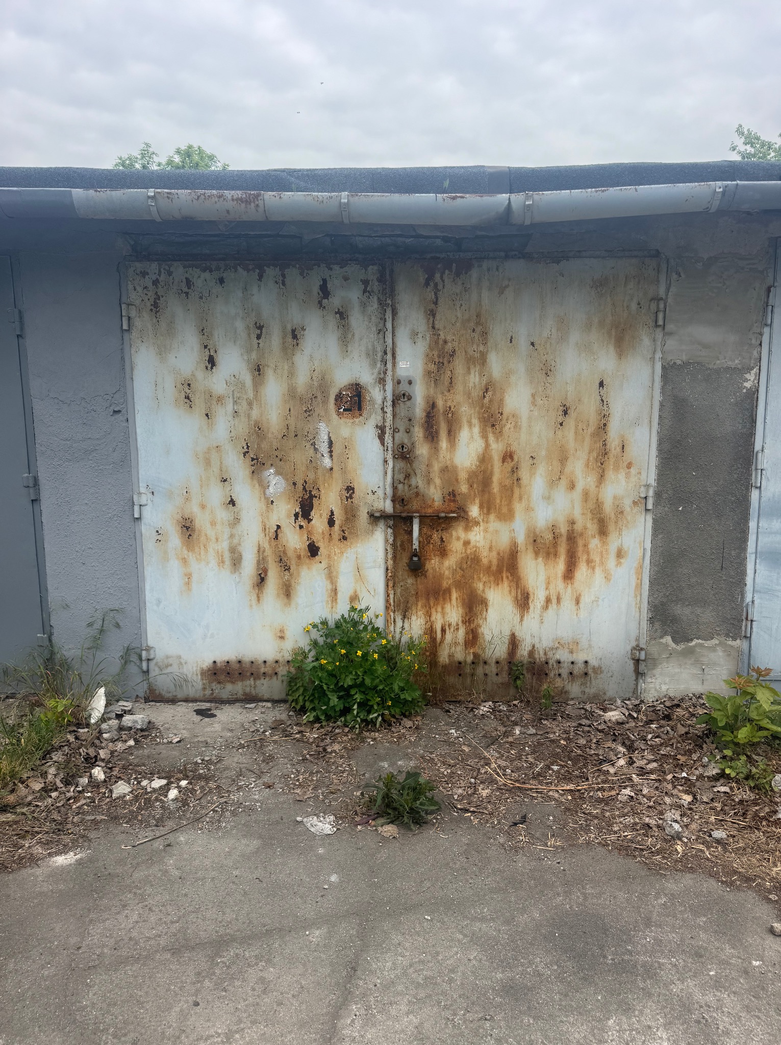 Zardzewiałe, dwuskrzydłowe drzwi garażowe z centralnym zamkiem, porośnięte u podstawy zielenią, na tle szarego, pochmurnego nieba. Widoczne ślady korozji i zaniedbania.