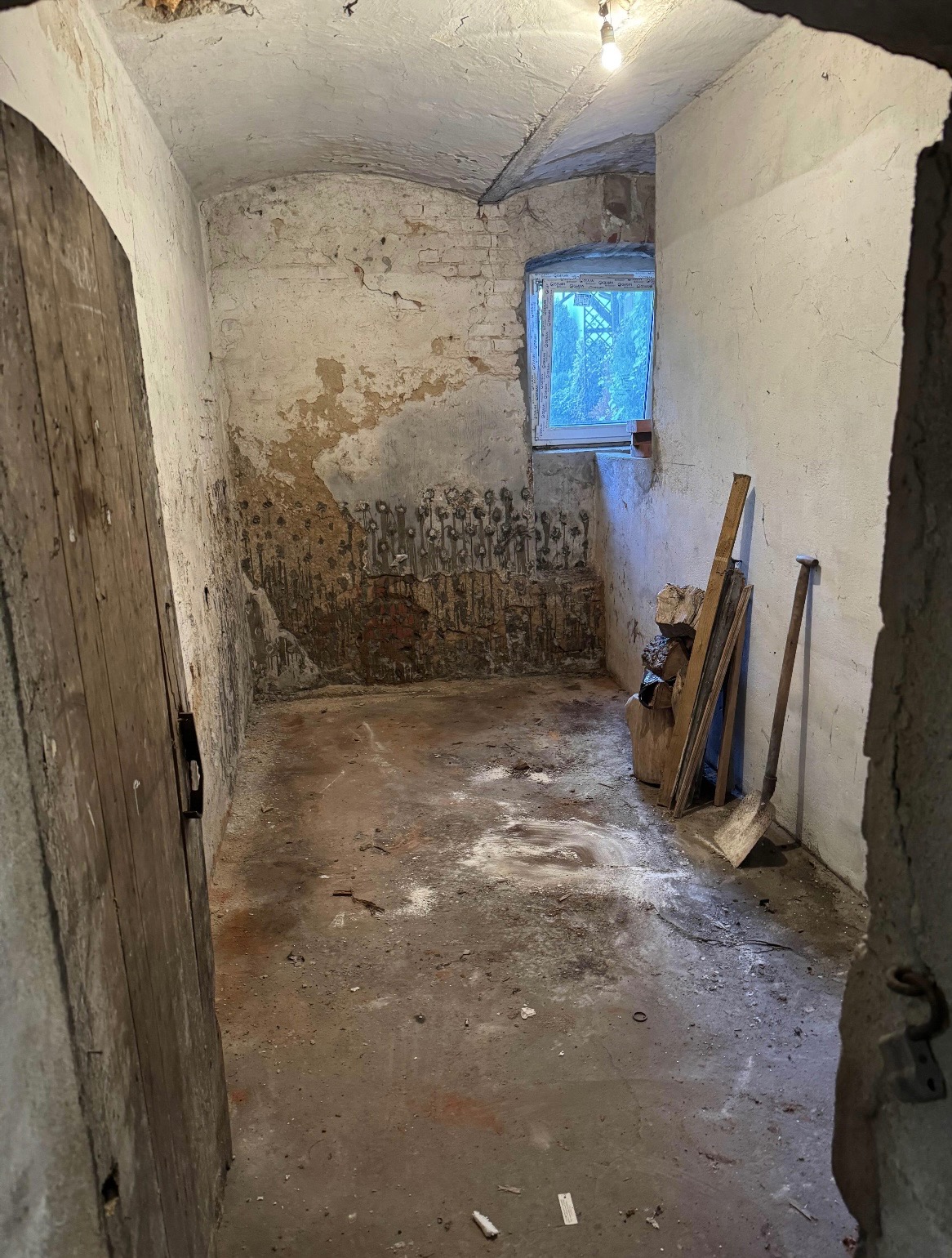 Zaniedbane pomieszczenie piwniczne z odpadającym tynkiem, widocznymi instalacjami i drewnianymi deskami opartymi o ścianę. Okno z widokiem na zieleń.