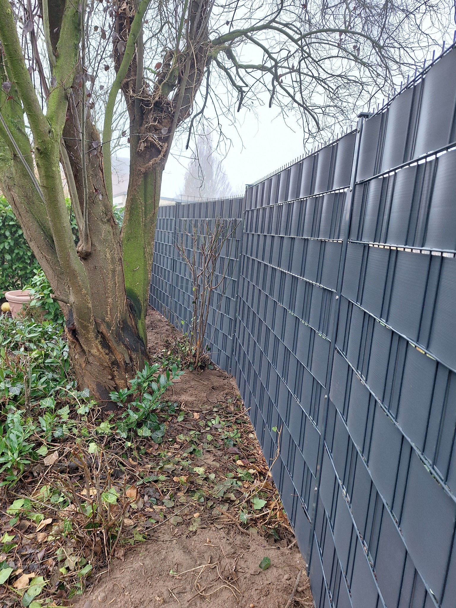 Nowoczesne, szare ogrodzenie panelowe z widoczną strukturą, przylegające do pnia drzewa. Tło stanowią krzewy i zarys budynku w oddali, tworząc naturalne otoczenie.