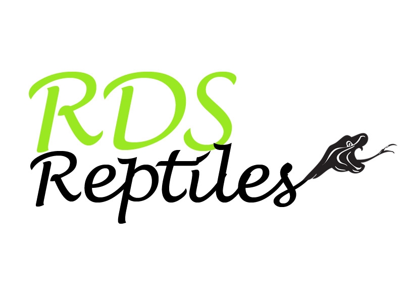 Logo firmy RDS Reptiles z zielonym napisem RDS i czarnym napisem Reptiles, obok głowa węża w czerni.