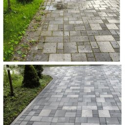 Wycinka drzew Elbląg 3