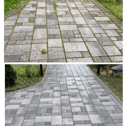 Wycinka drzew Elbląg 4