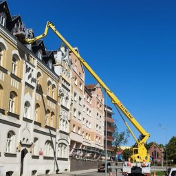 Wycinka drzew Elbląg 1