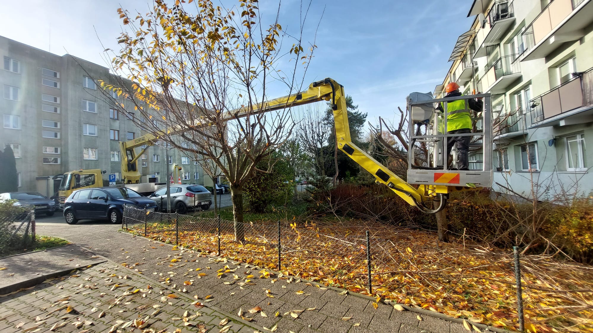 Pracownik w podnośniku koszowym przycina gałęzie drzewa na tle bloku mieszkalnego. Na chodniku leżą opadłe liście, a w tle widoczny jest żółty samochód ciężarowy.