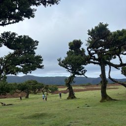 Wycieczki i wczasy Mirzec 4