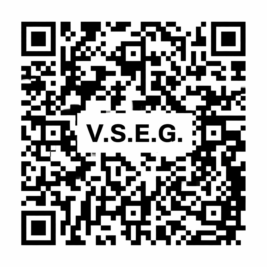 Czarno-biały kod QR z napisem 'V.S.E.G.' pośrodku, służący do szybkiego przekierowania na stronę internetową firmy.