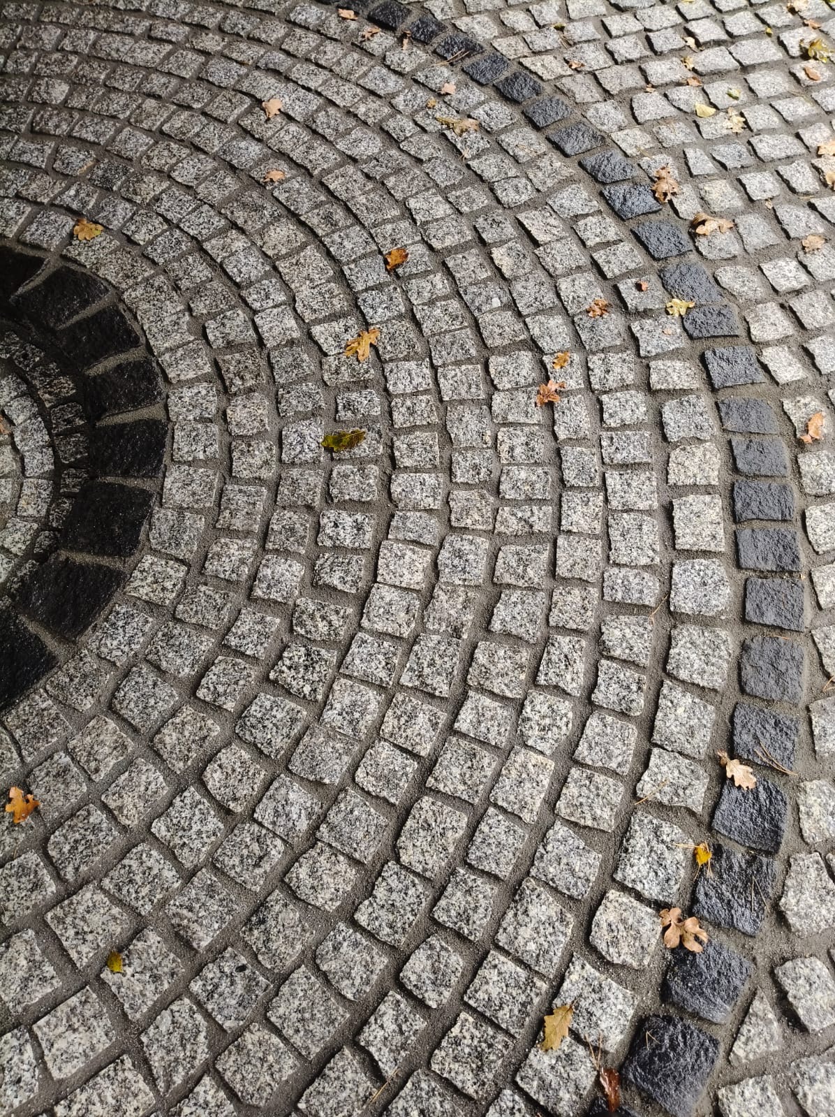 Granitowa kostka ułożona w łukowaty wzór z ciemniejszym obramowaniem i opadłymi liśćmi. Widok z góry na nawierzchnię z kamienia naturalnego.