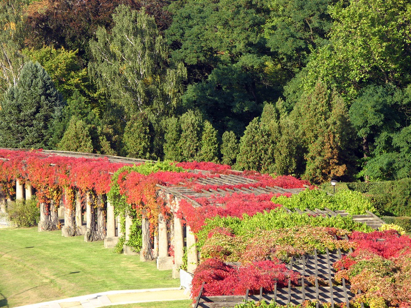 Zdjęcie z wysokości do 15 metrów