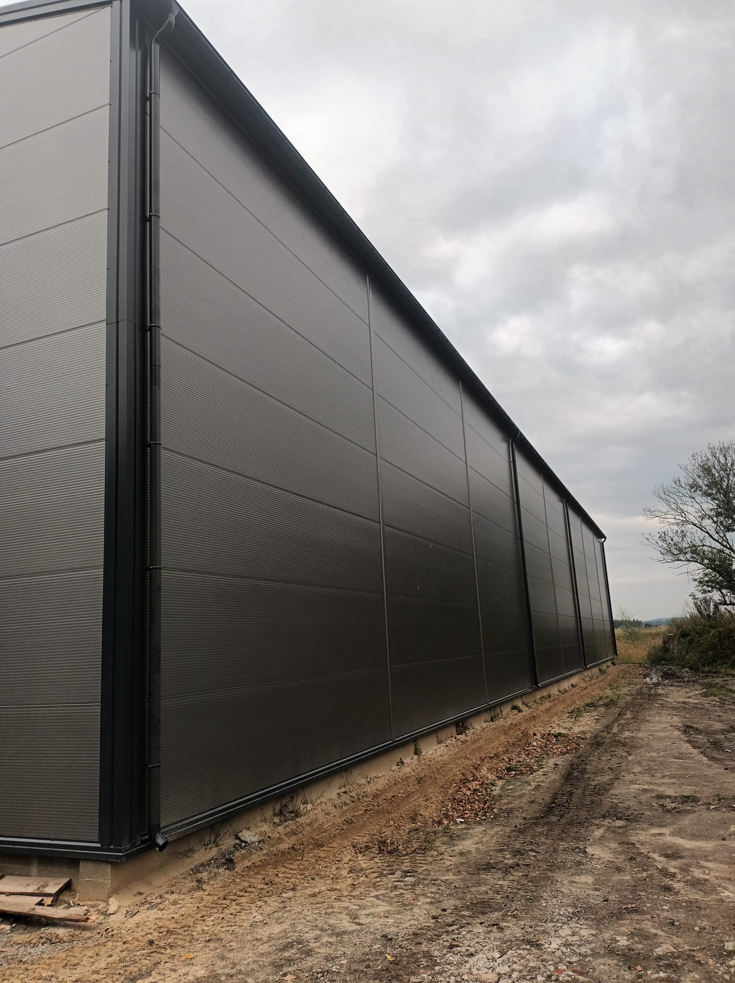 Długa, szara hala z płyt warstwowych, widoczna z perspektywy ziemi. Widoczne łączenia płyt i rynna. Tło: pochmurne niebo i drzewa. Ujęcie z dołu podkreśla wielkość konstrukcji.